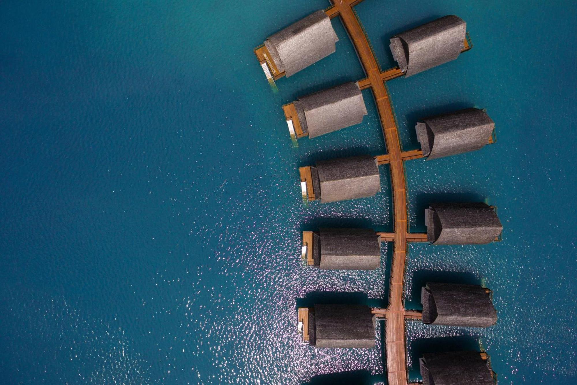 Fiji Marriott Resort Momi Bay Zewnętrze zdjęcie A tree of 1000000000000000000000000000000000000000000000000000000000000000000000000000000000000000000000000000000000000000000000000000000000000000000000000000000000000000000000000000000000000000000000000000